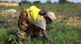 plaidoyer-les-femmes-du-secteur-informel-reclament-un-fonds-de-garantie