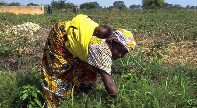 plaidoyer-les-femmes-du-secteur-informel-reclament-un-fonds-de-garantie