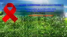 facebook mois camerounais 2